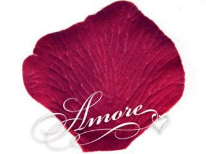 Picture of Silk Rose Petals Chambord