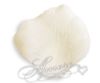Picture of Silk Rose Petals Light Ivory