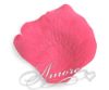 Picture of Silk Rose Petals Watermelon-Fuchsia